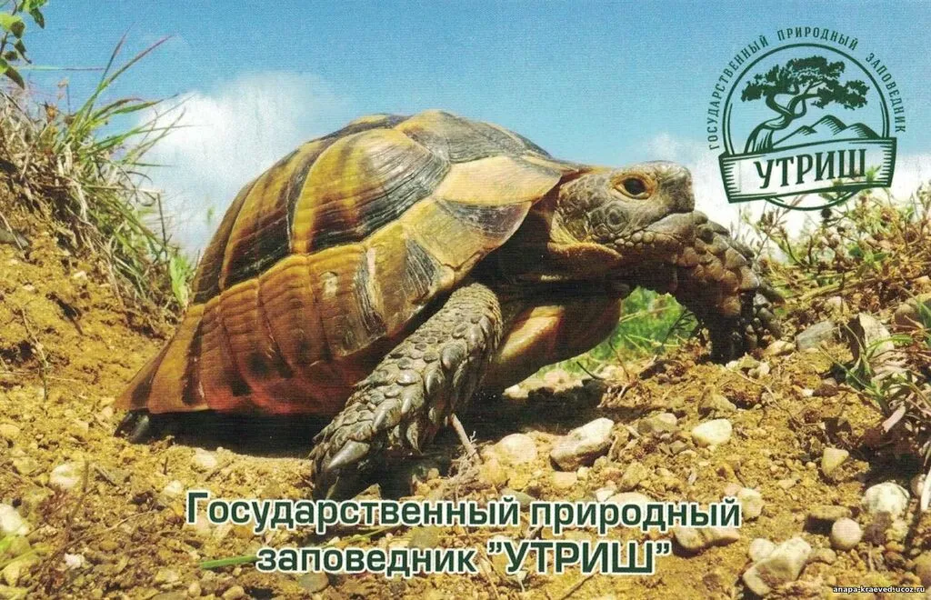 810471017